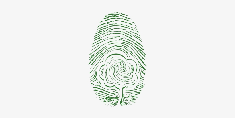 También Les Anexo Un Reporte Donde Se Mide La Huella - Sketch, transparent png