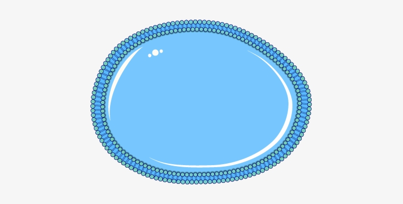 Download The Image - Mandala Difficile Rond, transparent png