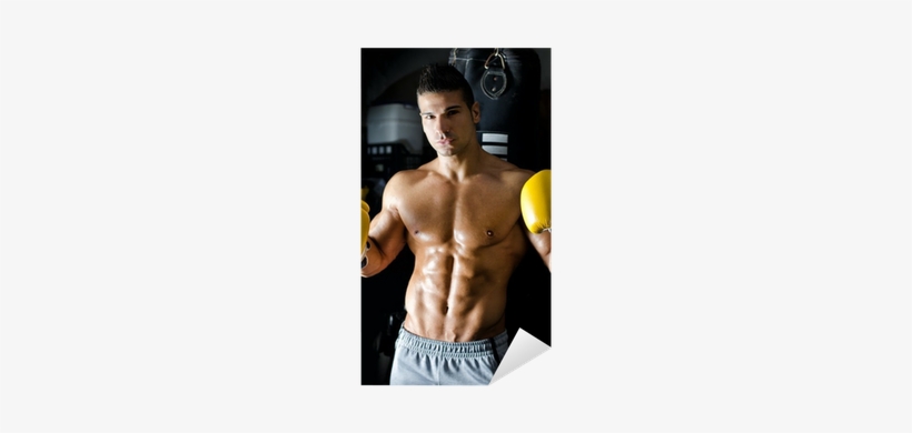 Handsome Shirtless Young Man With Boxer's Gloves Sticker - Boxed In: A Bbw Mc Erotic Drama [book], transparent png