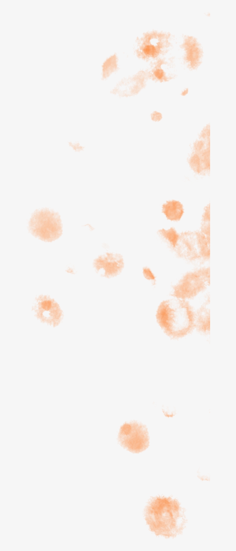 Occipital Lobe - Illustration, transparent png