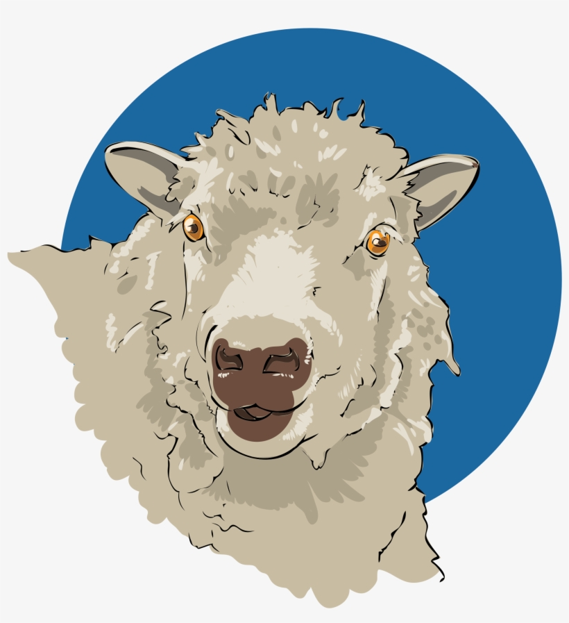 Open - Cabeza De Borrego Png, transparent png