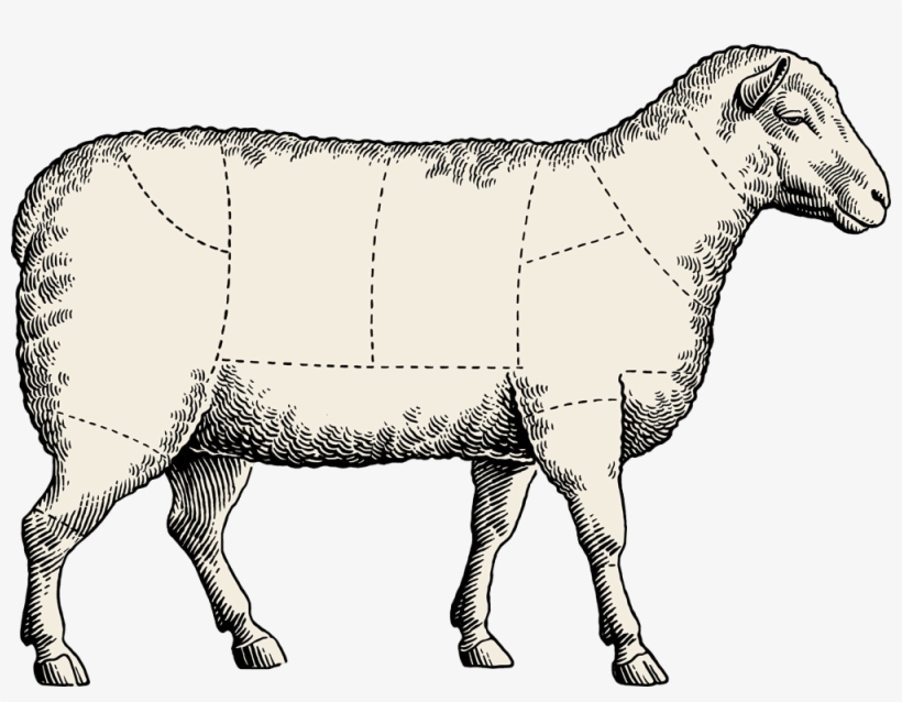 If You're New To Cooking Lamb, Simply Treat It Like - Sheep Meat Cuts Blank, transparent png