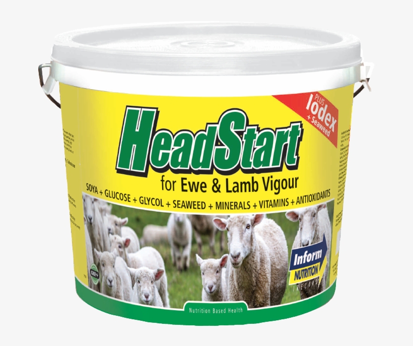 Headstartsheepbucket - Sheep, transparent png