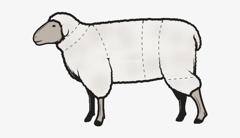 Head And Neck - Lamb Cuts Illustration, transparent png