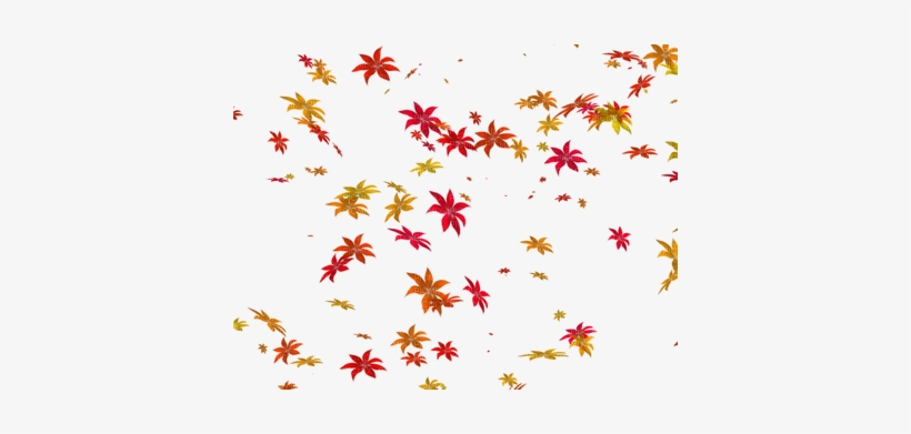 Folhas De Outono - Im Sorry Dear Friends, transparent png
