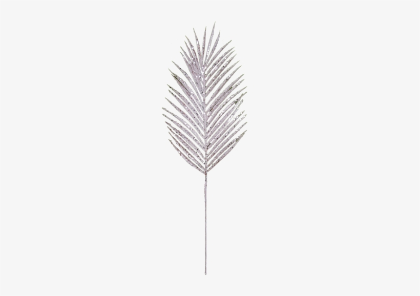Descrição - Grass, transparent png