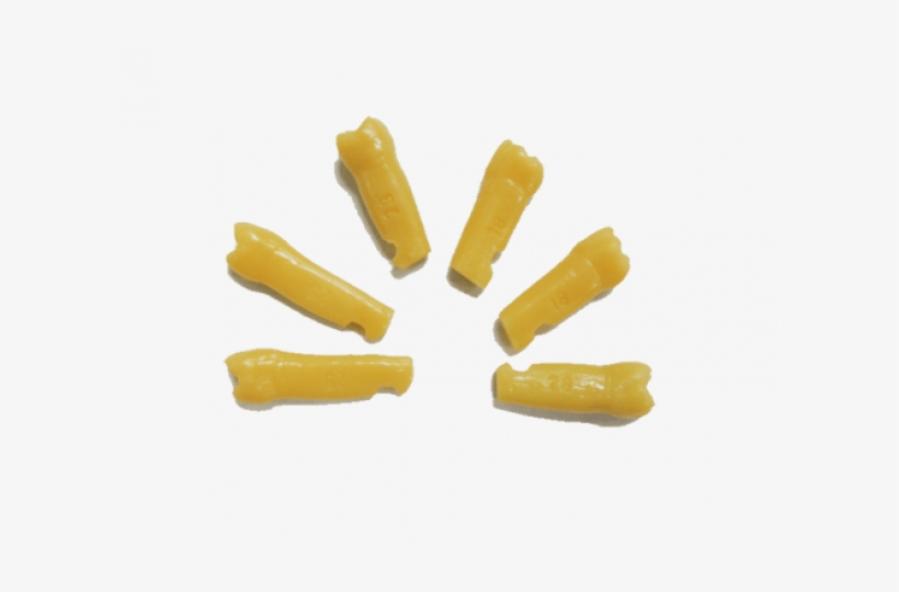 Dente 3º Molar N - Dentes Para Manequim Periodontia, transparent png