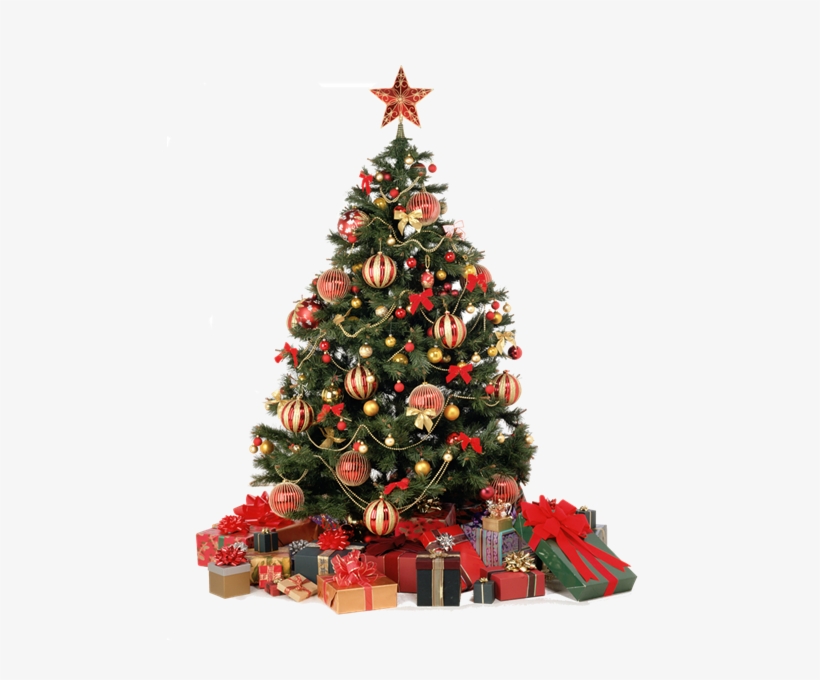Sapin De Noel - Real Christmas Tree Png, transparent png