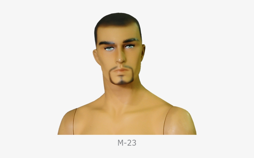 Cabeca Manequim Masculina M23 - Facebook, transparent png