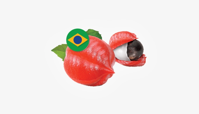 Brazilian Guarana Extract Caffeine 36% - Macrovita Body Scrub Gel 150ml, transparent png