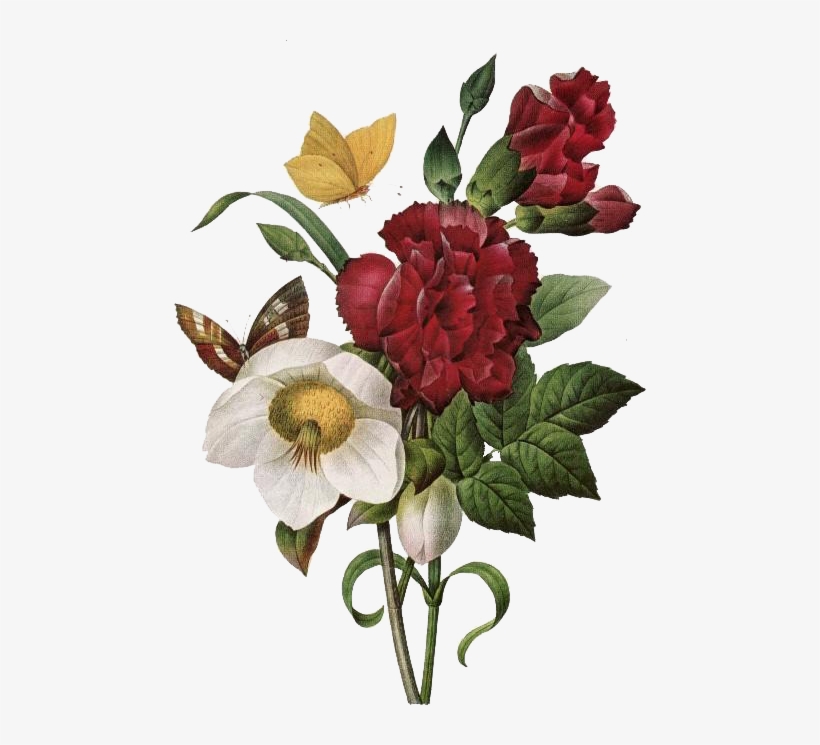 Ilustración De Botánica, Hombreras, Ramos De Flores, - Book Of Flowers Taschen, transparent png