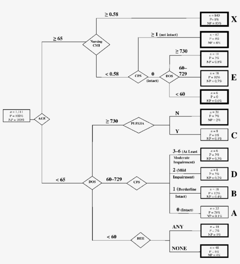 Entries In Each Terminal Group Represent The Proportion - Ratio, transparent png