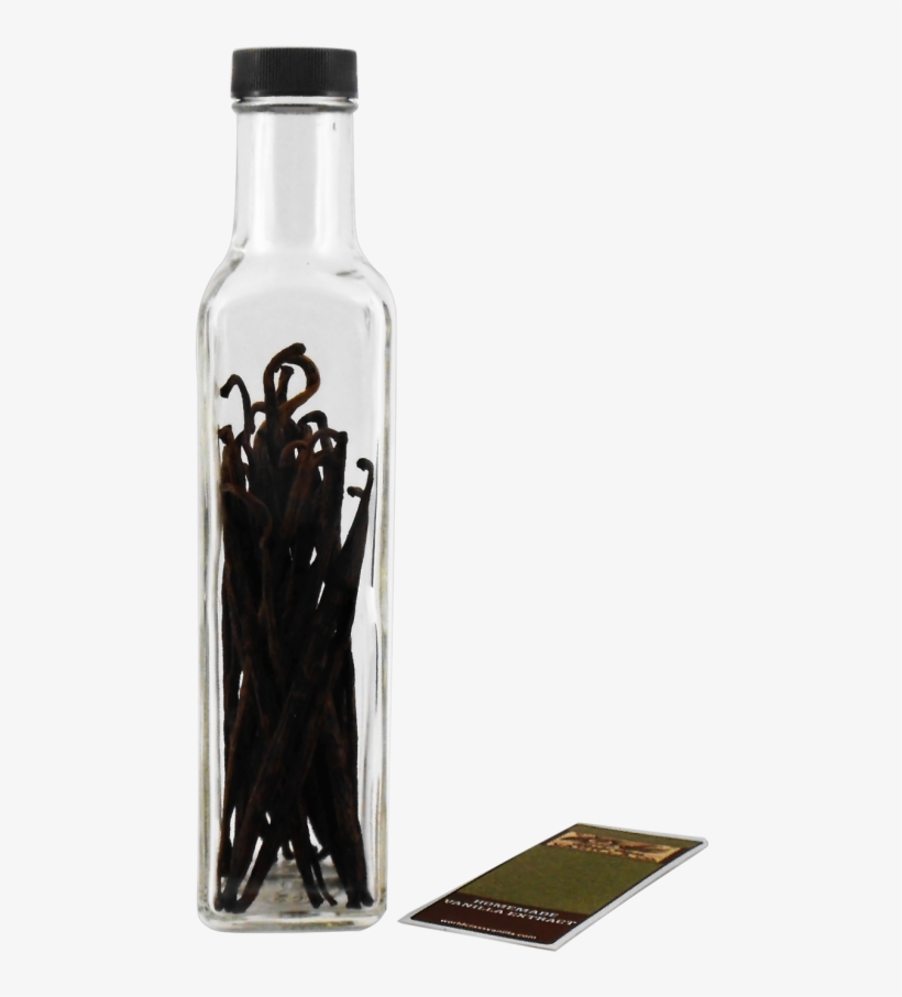 Madagascar Homemade Vanilla Extract Starter Kit - Vanilla Extract, transparent png