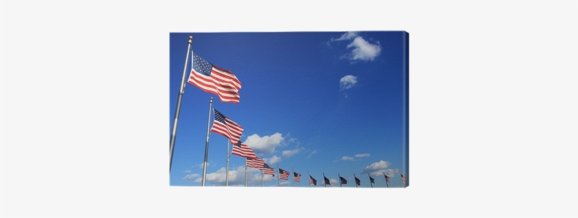 Cuadro En Lienzo Banderas De Estados Unidos • Pixers® - Flag Of The United States, transparent png