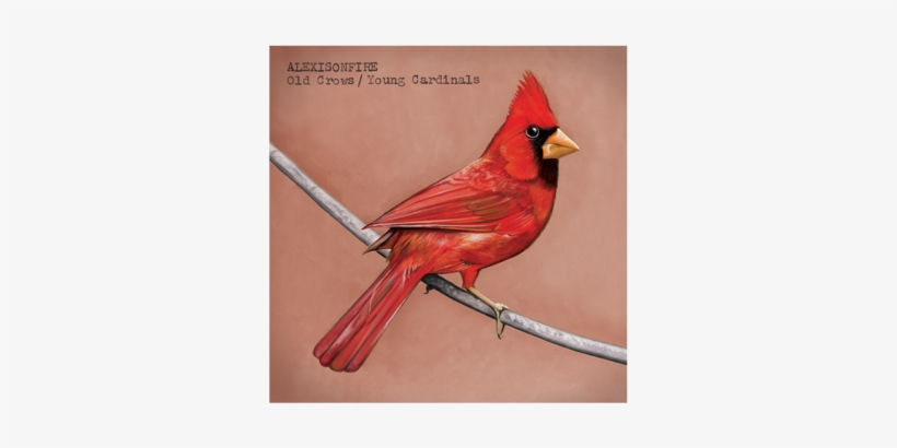 Old Crows / Young Cardinals - Old Crows Young Cardinals, transparent png