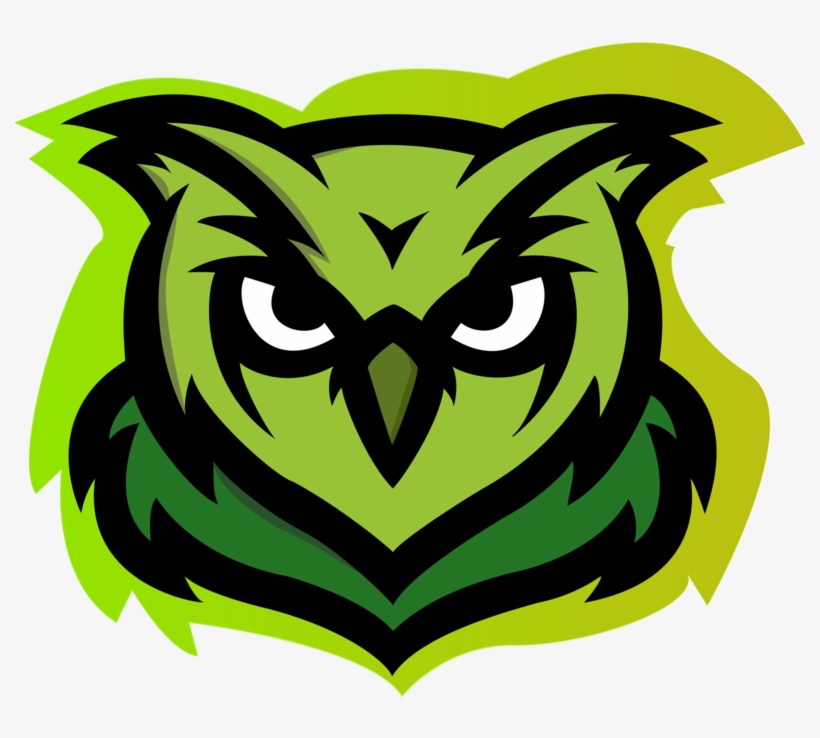 Owl Vector Logo Png, transparent png