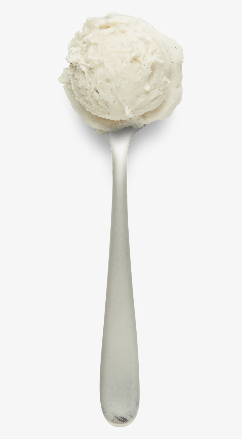 Pure And Rich Vanilla Extract With Ground Vanilla Bean - Champagne Stemware, transparent png