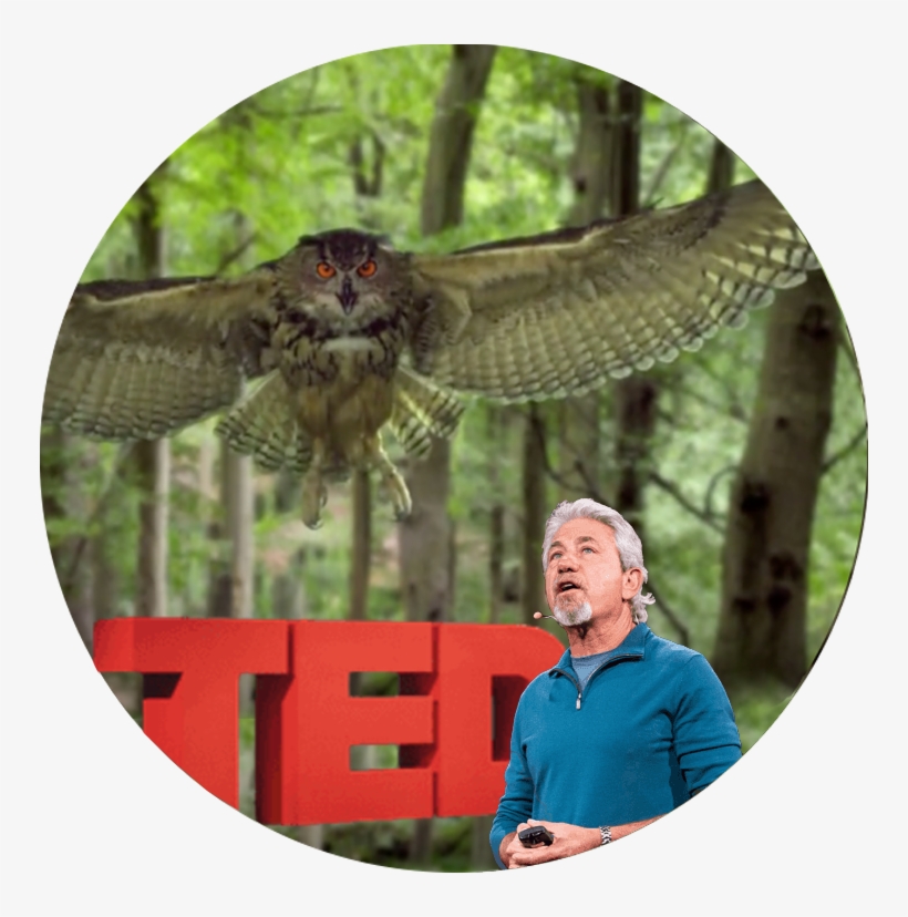 Become A Moving Art Insider - Moving Art By Louie Schwartzberg, transparent png