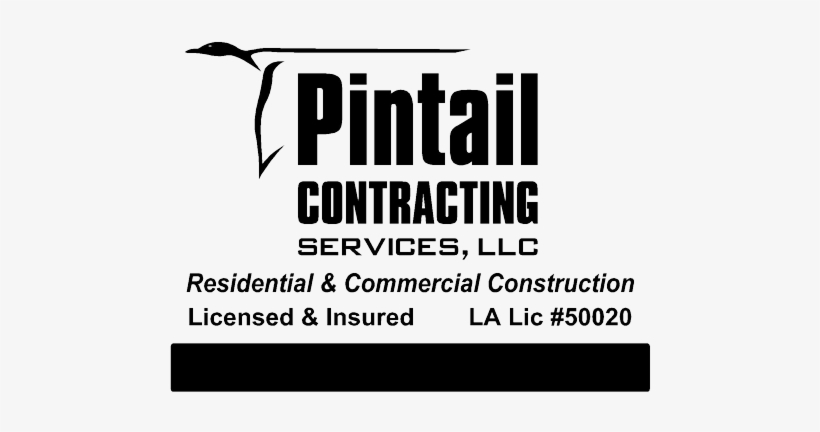 Pintail - Poster, transparent png