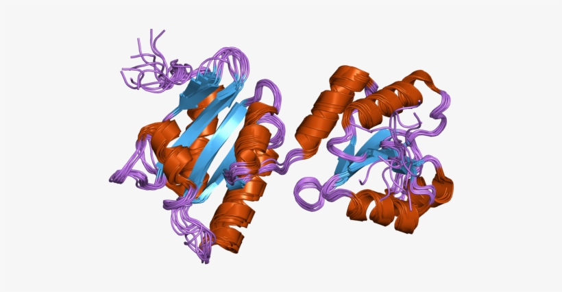 Pdb 2k18 Ebi - Protein Data Bank, transparent png