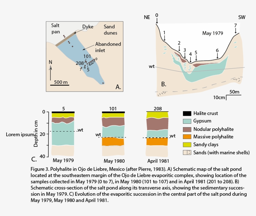 Modern Polyhalite Occurrences - Diagram, transparent png