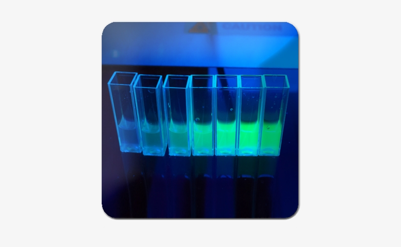 Results - Trento, transparent png
