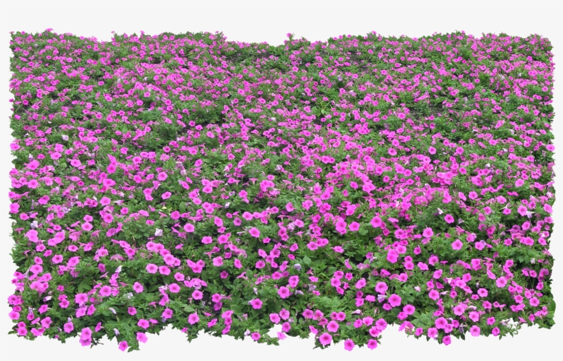 Flower Trees Psd Photoshop File - Thư Viện Hoa Photoshop, transparent png