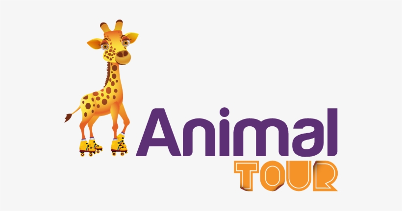 Animal Tour, transparent png