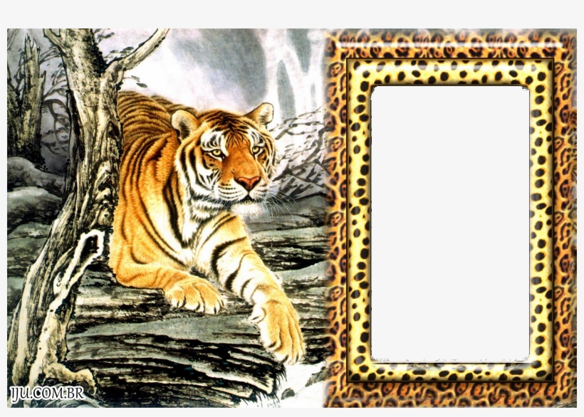 Molduras Para Fotos De Animais, transparent png