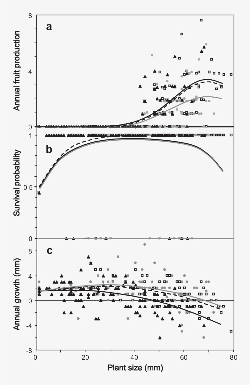 Fecundity , Survival (b) And Growth (c) Of Coryphantha - Diagram, transparent png