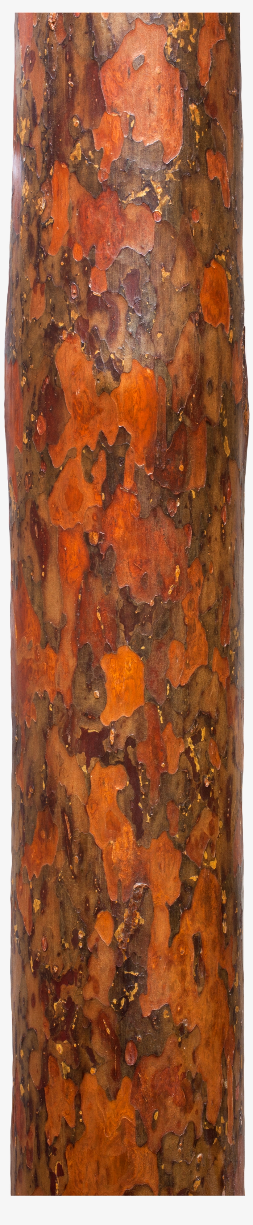 Akamatsu Kawatsuki Maruta - Wood, transparent png