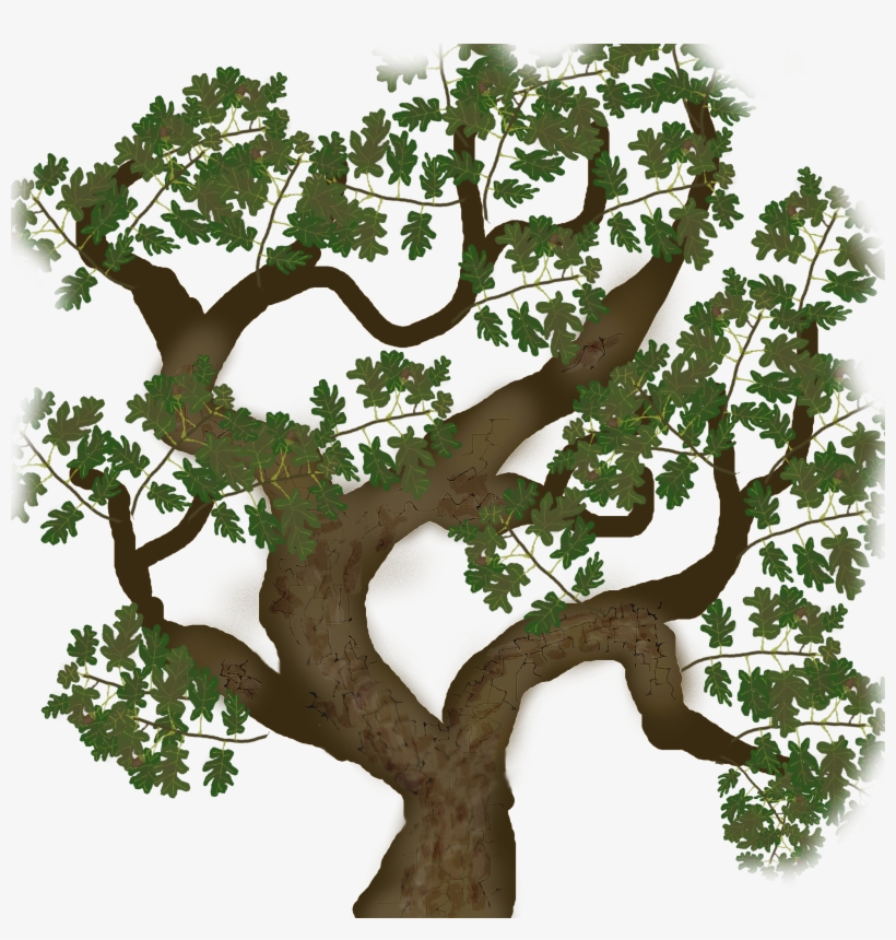 4 New Stk Lib Models Textures - Illustration, transparent png