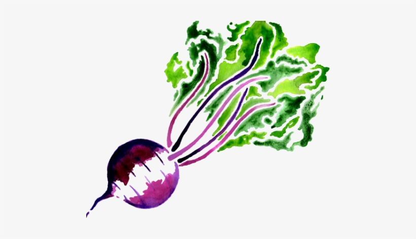 Common Beet, transparent png