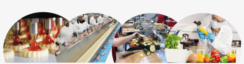 Banniere - Food Processing Technologies: Impact On Product Attributes, transparent png