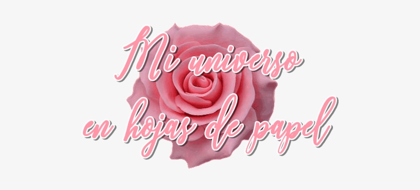 Paper, transparent png