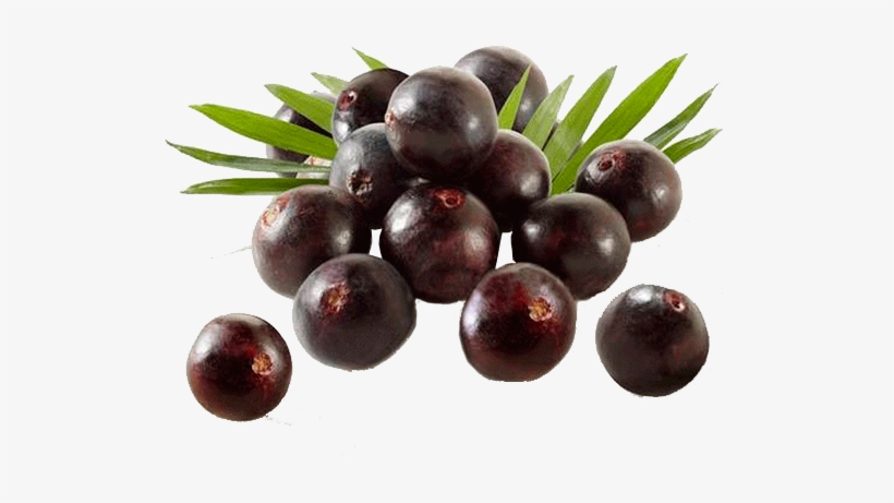 Polpa De Açai - Indus Viva Health Sciences, transparent png