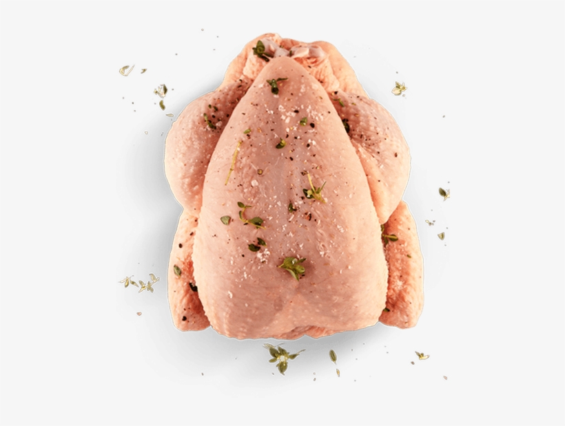 Prod-pollo1 - Hic 7000 Vertical Roaster, 8", transparent png
