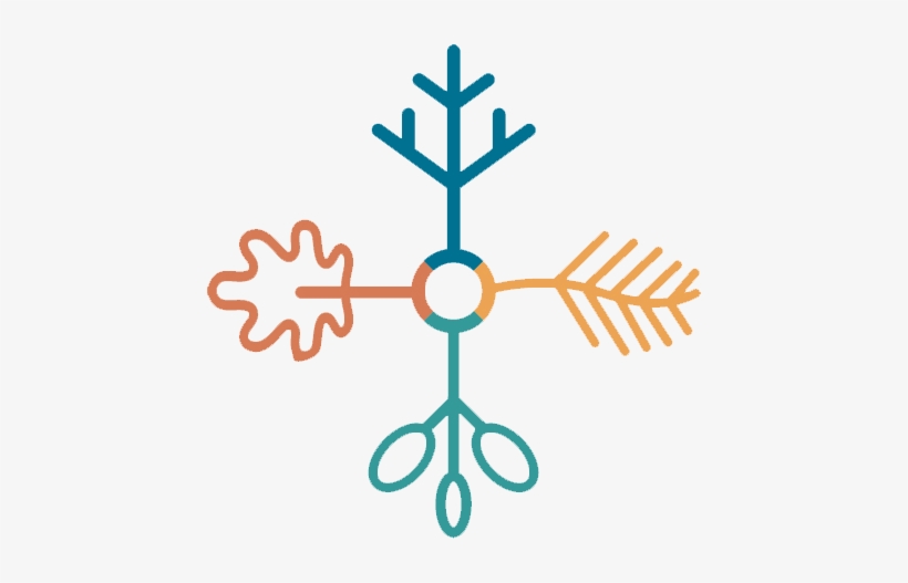 Cold Weather Bussing/patrols/indoor Recess - Transparent Snow Flake Icon, transparent png