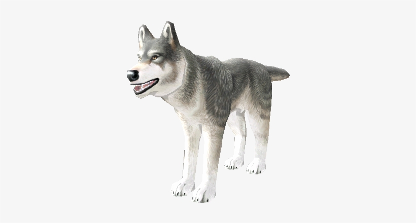 Download Zip Archive - Sakhalin Husky, transparent png
