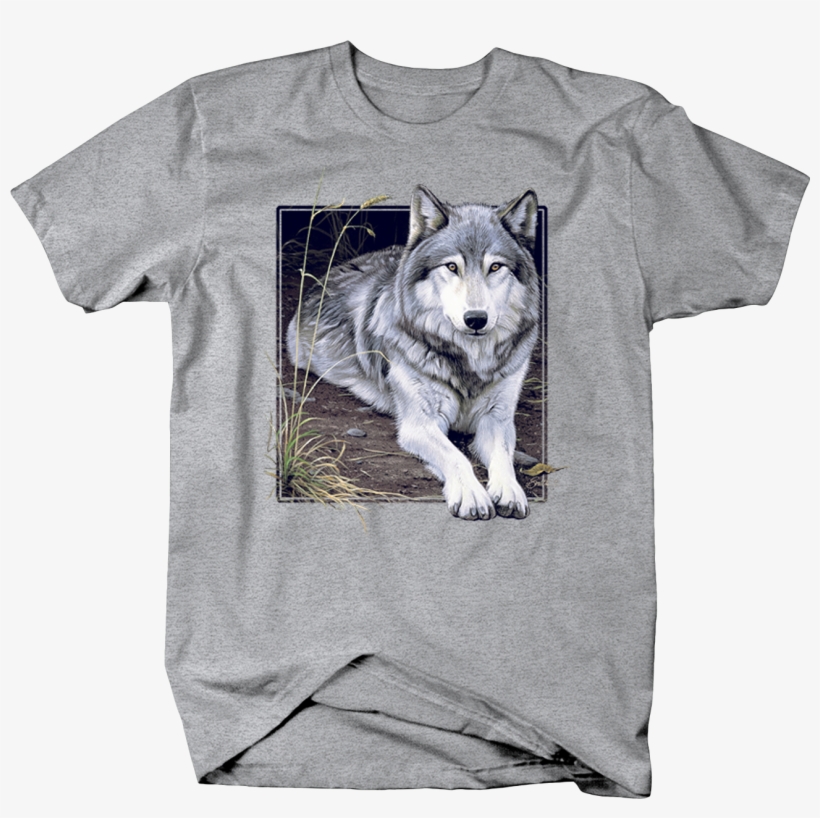 Grey Wolf Sitting On Wilderness Ground Staring Custom - Soos Tshirt - The Smell Of Diesel In Morning Stacks, transparent png