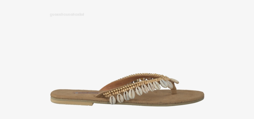 Slipper, transparent png