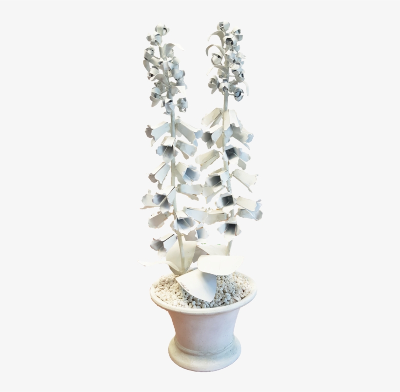 Wht Foxglove - Portable Network Graphics, transparent png