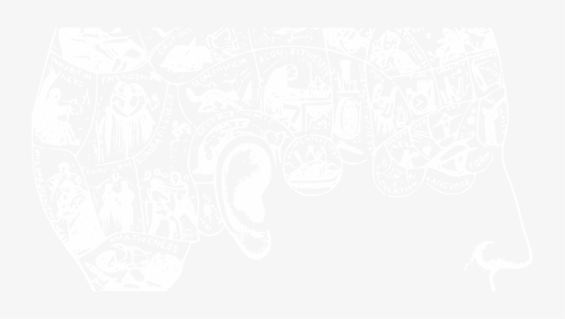 Producto Como Construcción Cerebral, transparent png