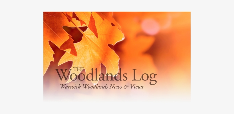 September 10, 2014 - Noname Notebook Skin Bltter, Geeignet Fr Widescreens, transparent png