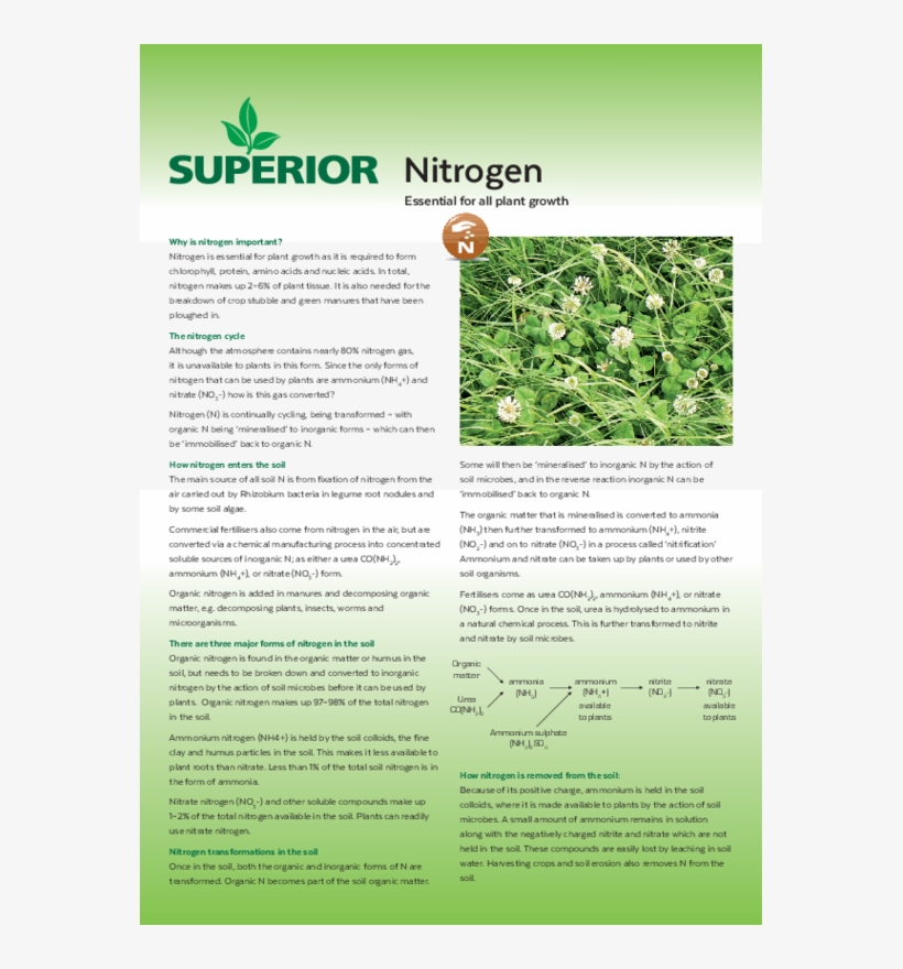 Essential For All Plant Growth - Brochure, transparent png