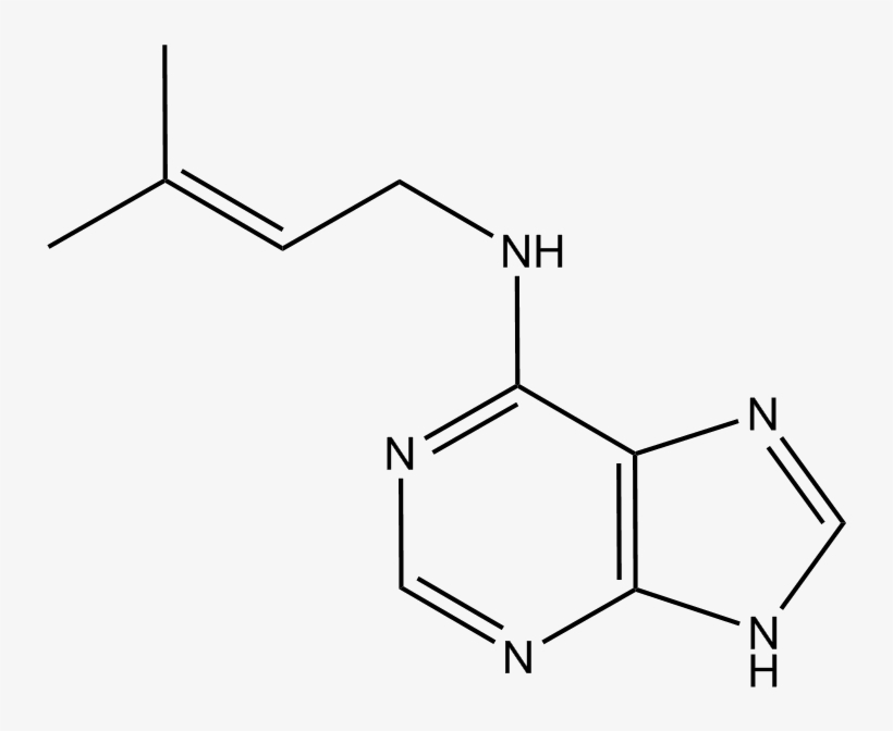 6 Purine (2ip) - Amp Molecule, transparent png