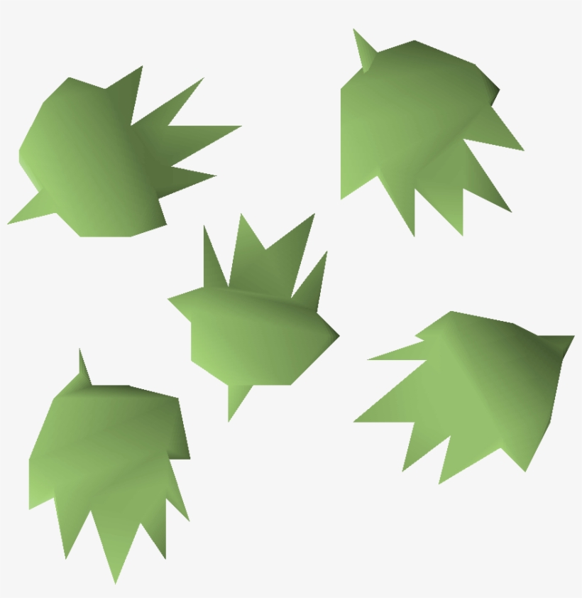 Cactus Seeds Can Only Be Planted In The Cactus Patch - Old School Runescape, transparent png