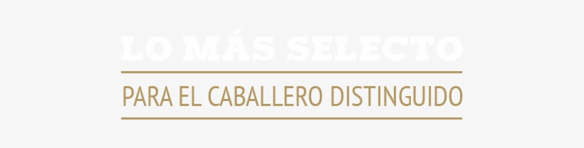 Bachelor Brand Calzado Y Ropa De La Mejor Calidad, - Clothing, transparent png
