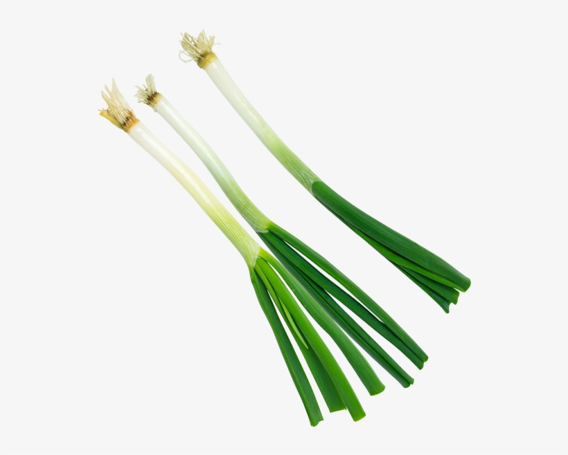 Green Onion - Portable Network Graphics, transparent png