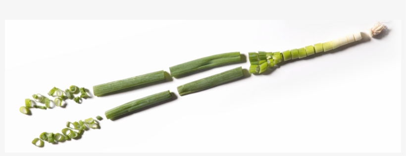 Green-onion - Bud, transparent png
